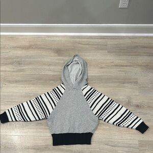 Urban Outfitters Striped Sleeve Gray Hoodie